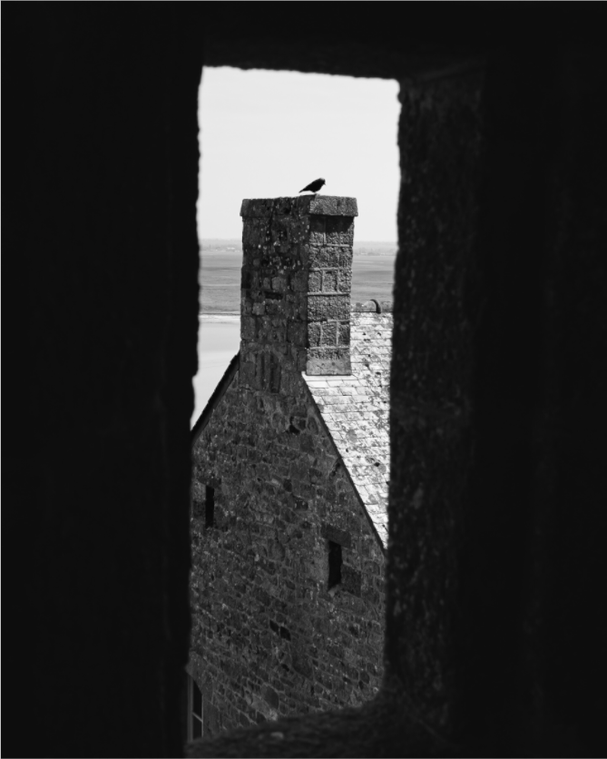 Raven on Rooftop — Mont Saint-Michel Black and White Photography Print