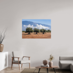 Three Olive Trees — Kefalonia Greece Photography Print — detail view 3